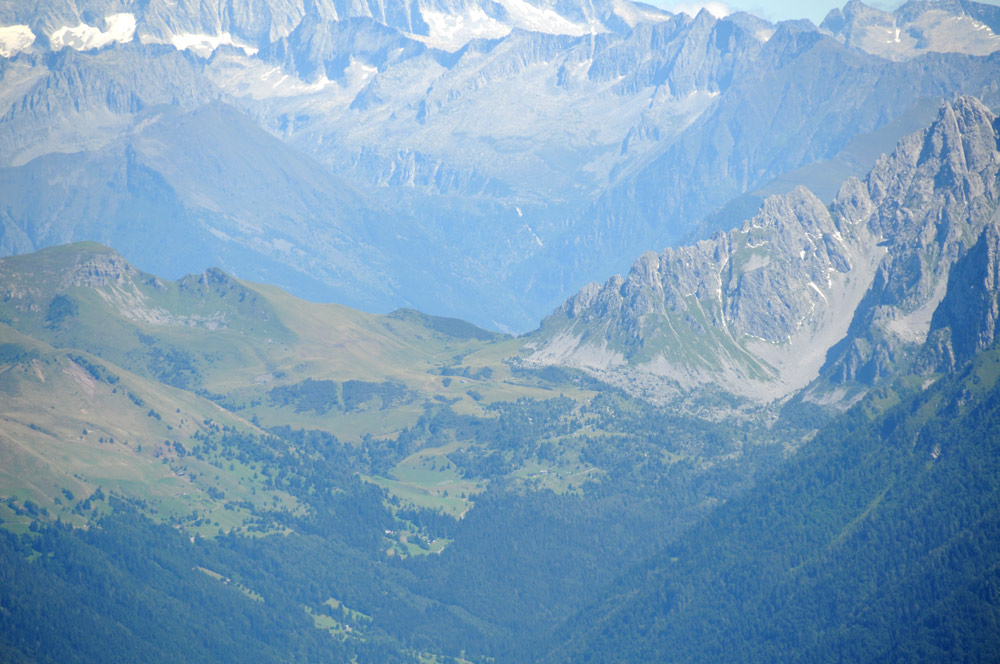 Dal Monte Ferrante